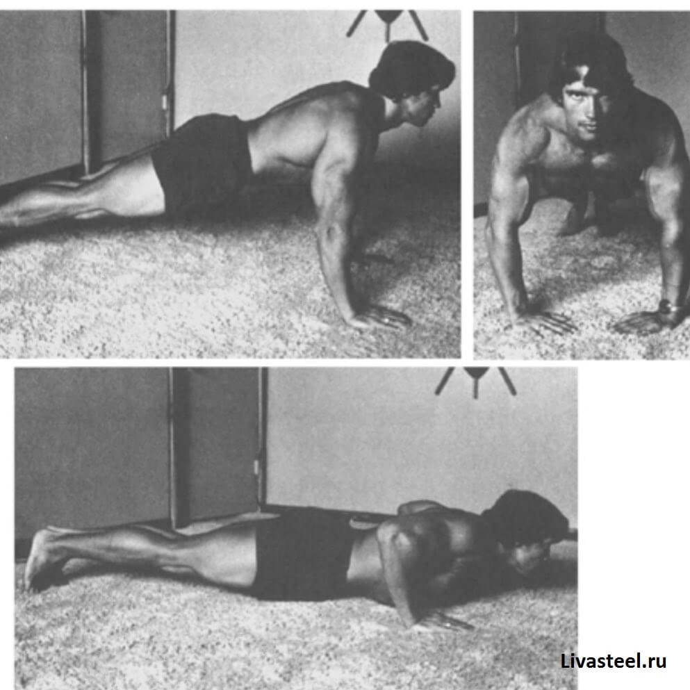 Программа тренировок Арнольда Шварценеггера — как тренировался знаменитый атлет?