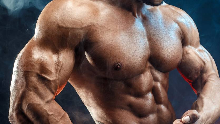 Тренировка спины и бицепса в один день