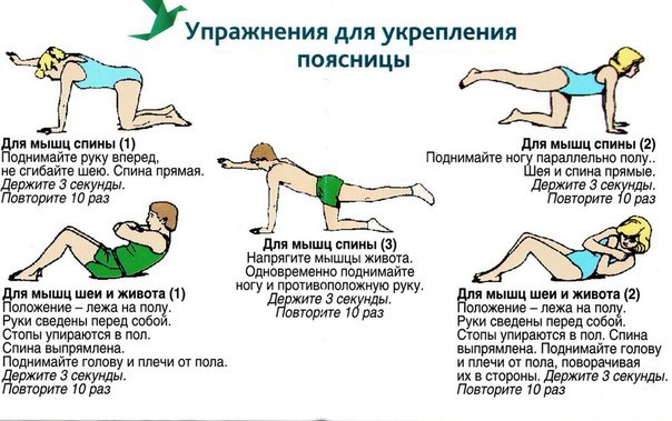 Как укрепить мышцы спины в домашних условиях - эффективные методы!