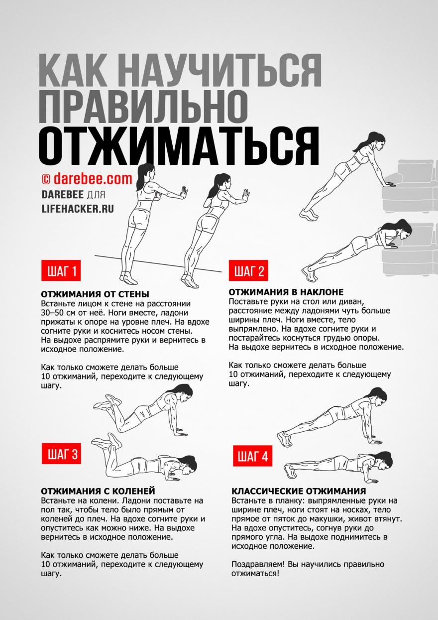 Упражнения для грудных мышц девушкам в тренажерном зале