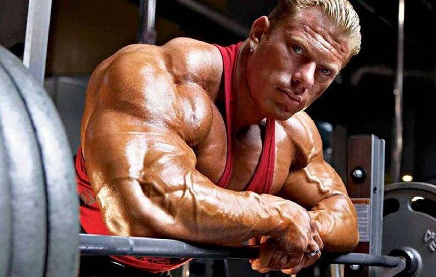 Гюнтер Шлиеркамп — «Ласковый Гигант» и его история