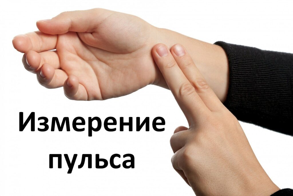 Пульс при беге: максимальный, норма и ЧСС для сжигания жира