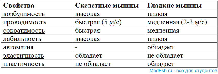 Связь мозг-мышцы