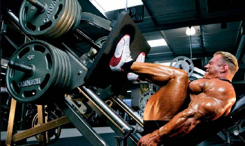 Гюнтер Шлиеркамп — «Ласковый Гигант» и его история