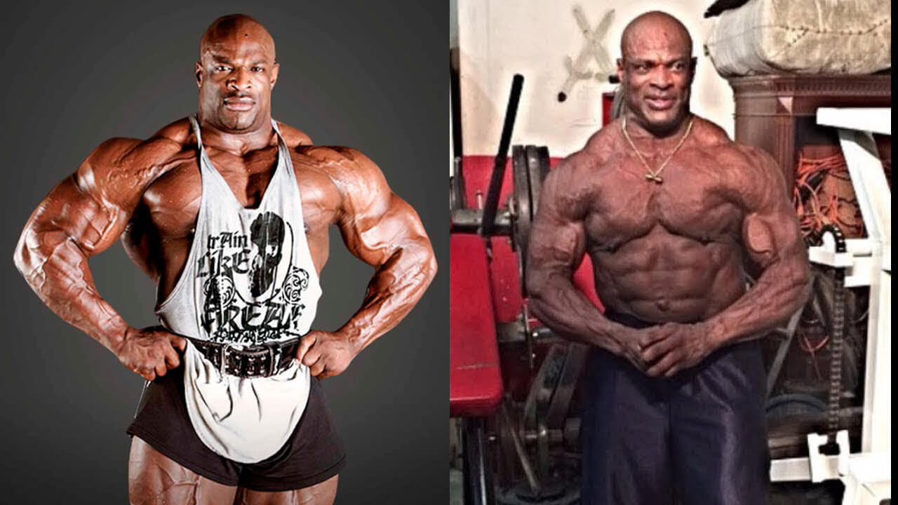 3 звезды российского бодибилдинга – кто эти девушки?