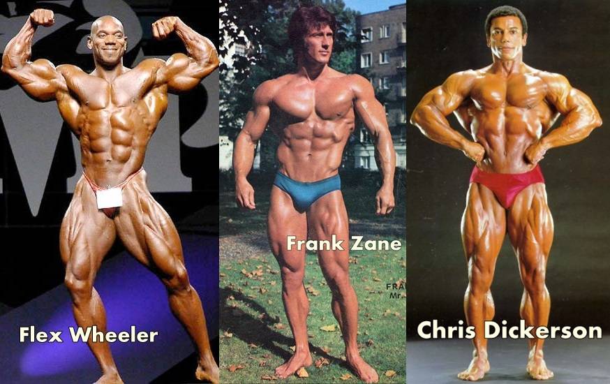 Программа тренировок для эктоморфа