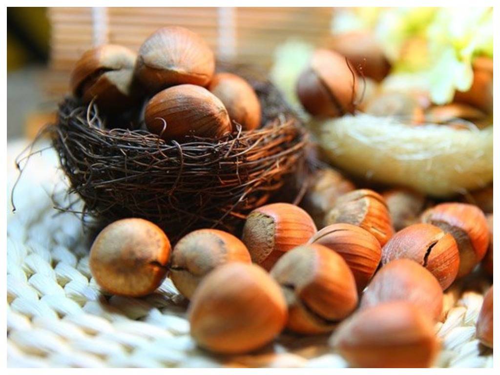 Смело ешьте орехи и продолжайте терять вес