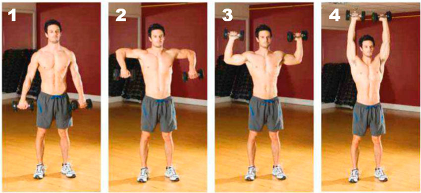 Жим гантелей стоя