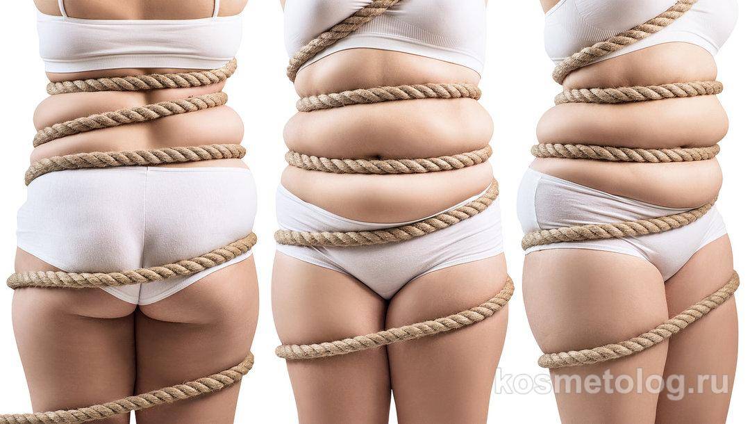 Процент жира в организме: как узнать, фото примеры