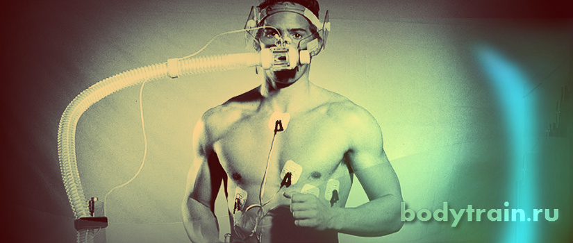 Как увеличить выносливость организма