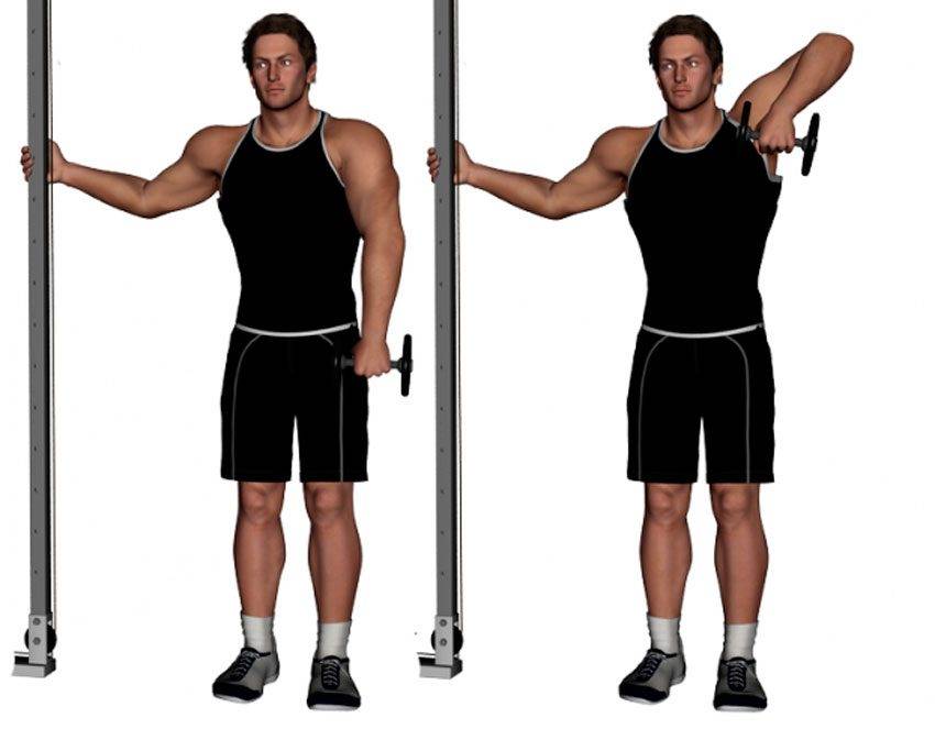 Трастеры с гантелями