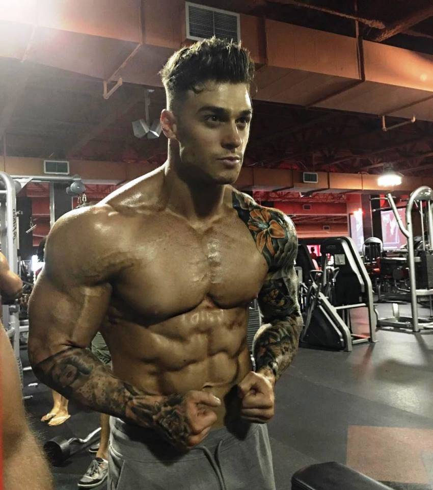 Оуэн и Льюис Харрисоны — Биография, программа тренировок