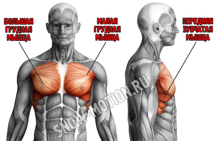 Жим в Смите на наклонной скамье