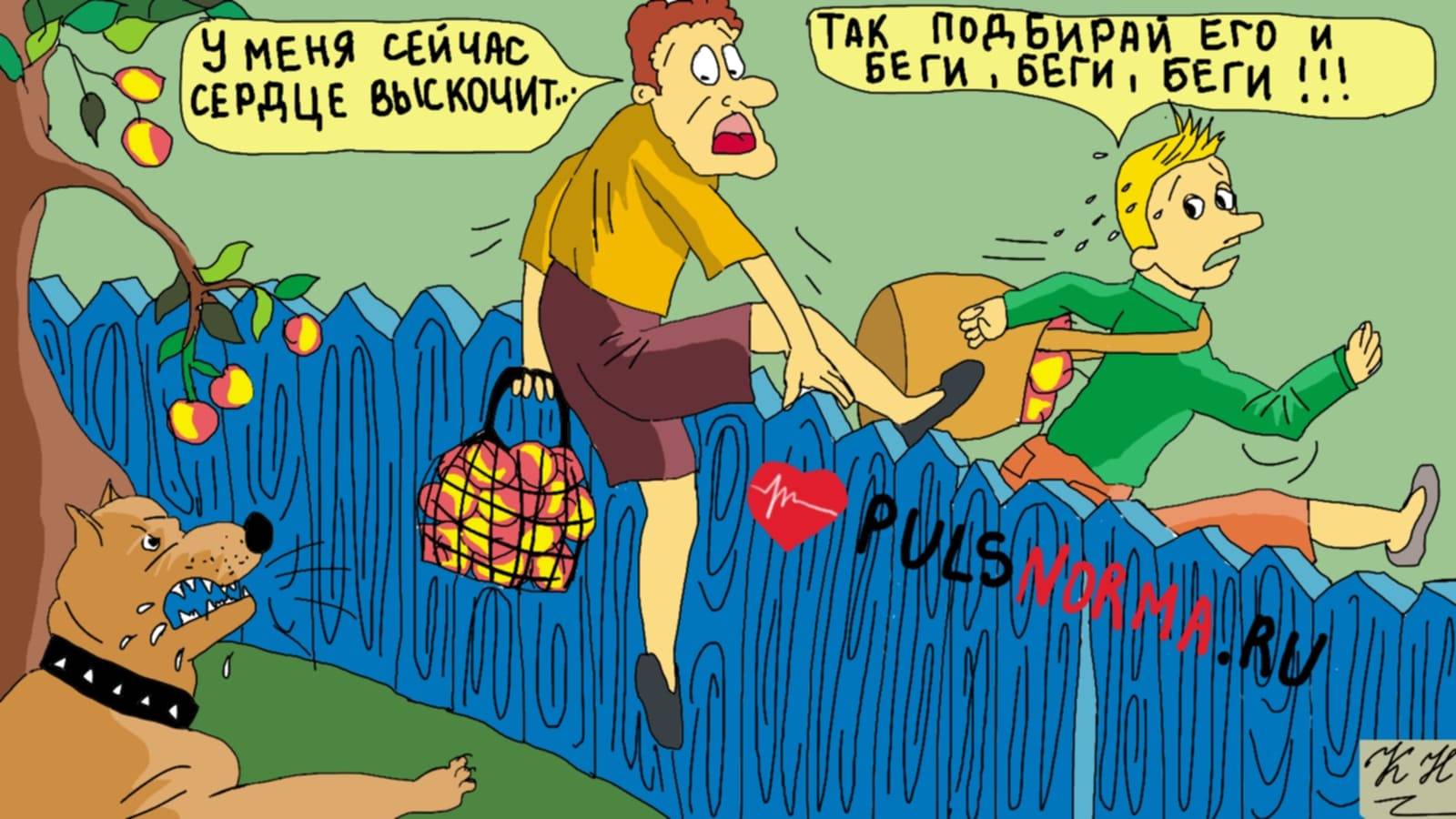 Зоны пульса: формула расчета ЧСС, таблица по возрастам