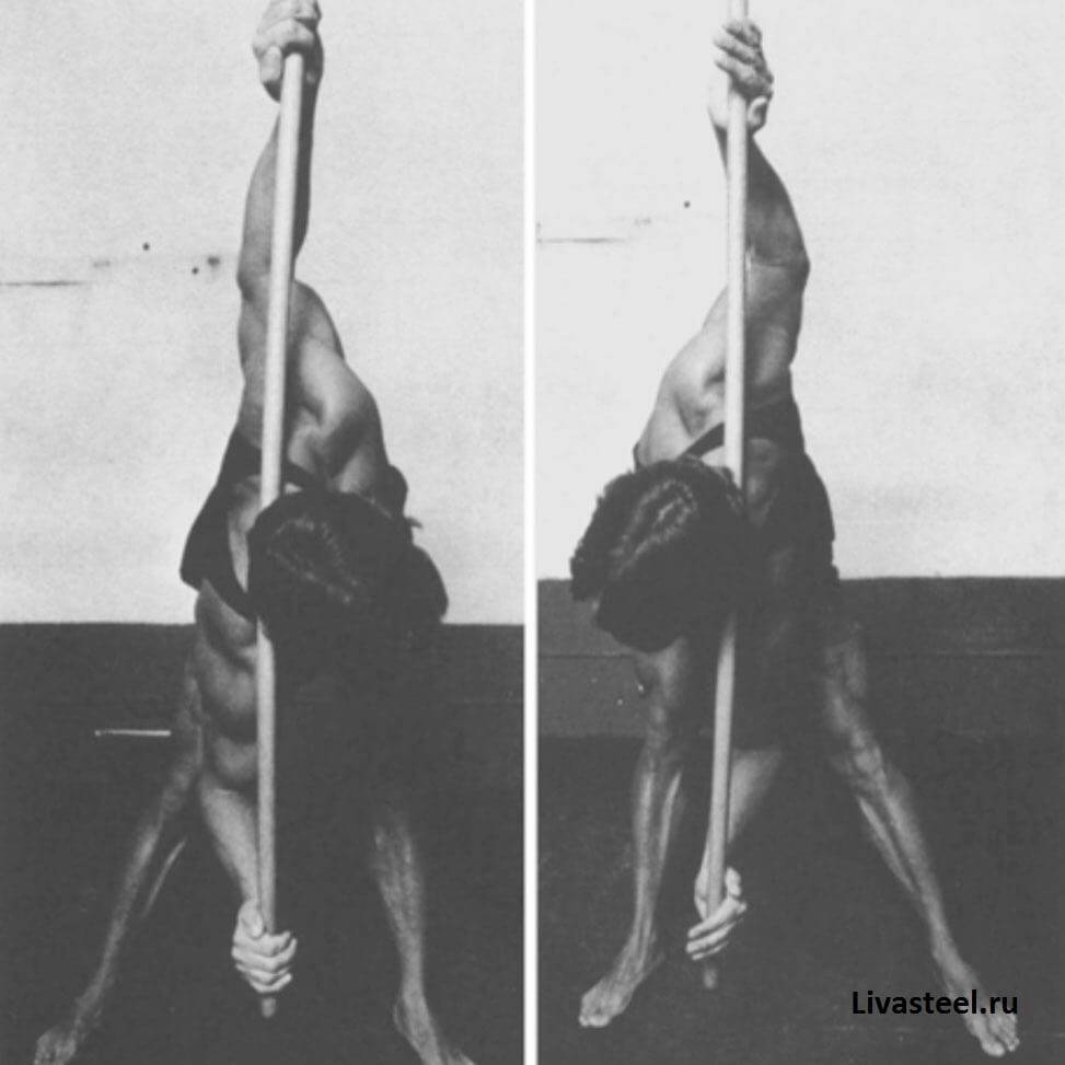 Программа тренировок Арнольда Шварценеггера — как тренировался знаменитый атлет?