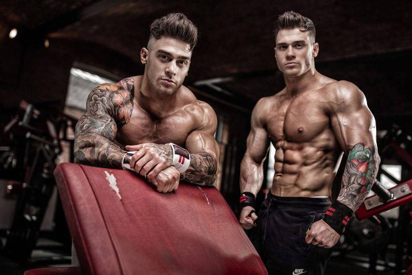 Оуэн и Льюис Харрисоны — Биография, программа тренировок