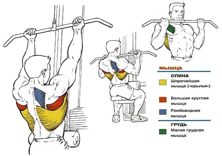 Тяга верхнего блока узким хватом