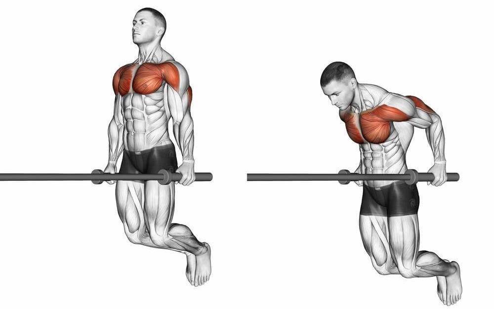 Как накачать грудь девушке: упражнения для мышц груди