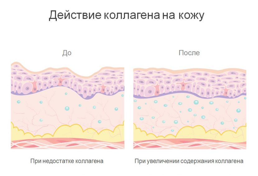 Для чего нужен коллаген организму, 7 полезных свойств