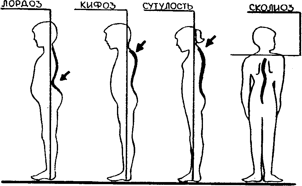 Упражнения на фитболе