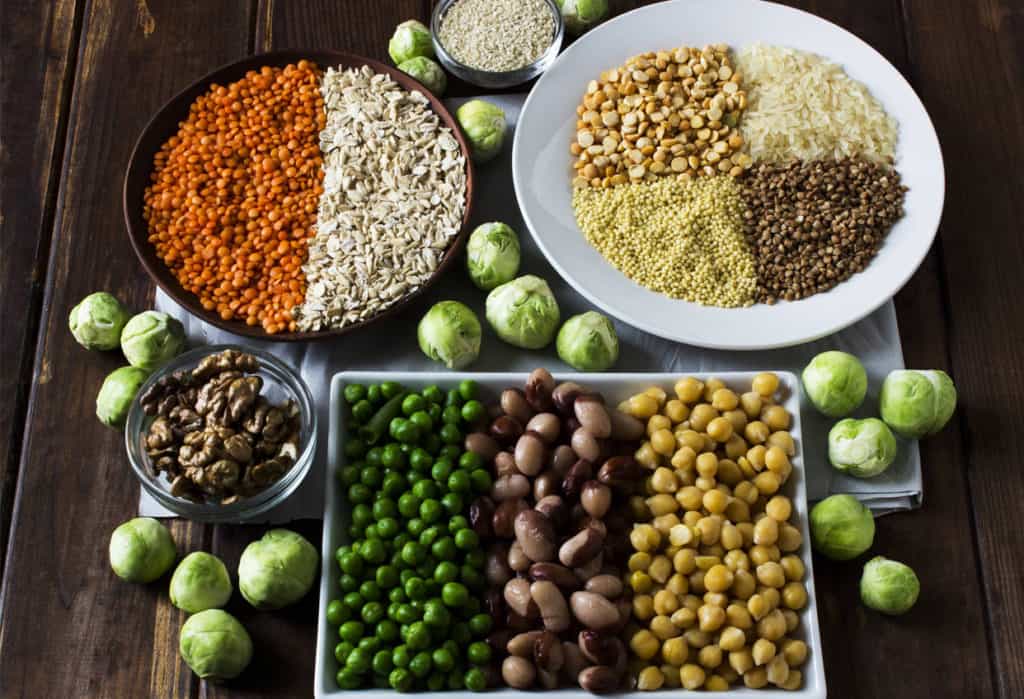 Обмен веществ в организме человека