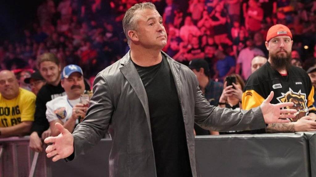 12 лучших телосложений в истории WWE