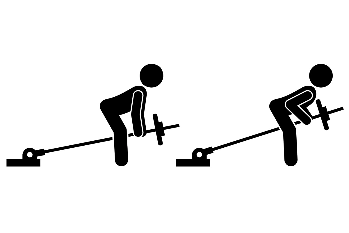 Упражнения на спину с гантелями для мужчин и женщин