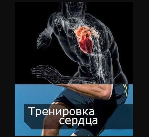 Как тренировать сердце | развитие выносливости