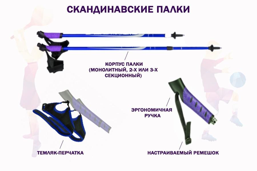 Палки для скандинавской ходьбы – как выбрать, таблица по росту, лучшие модели