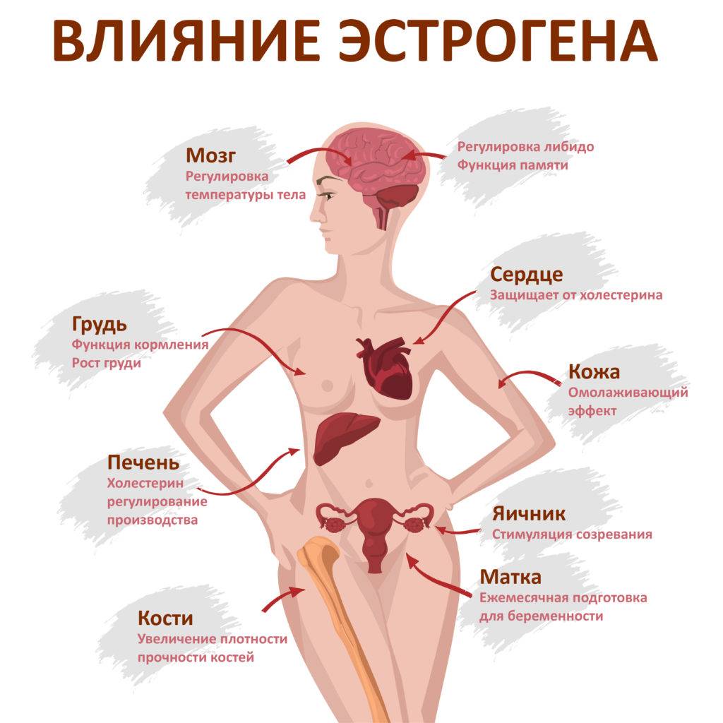 Больше никогда не сидите на диетах