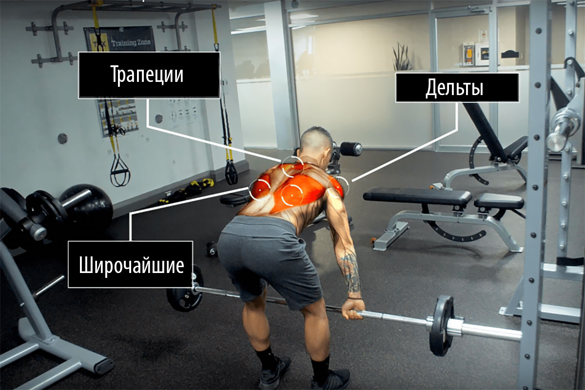 Вертикальная тяга обратным хватом