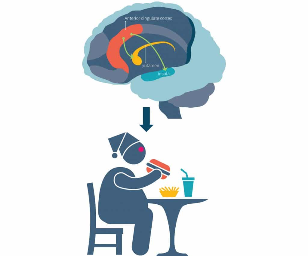 Недостаток сна провоцирует слабость и ожирение