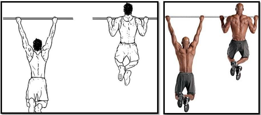 50 подтягиваний — программа на 7 недель