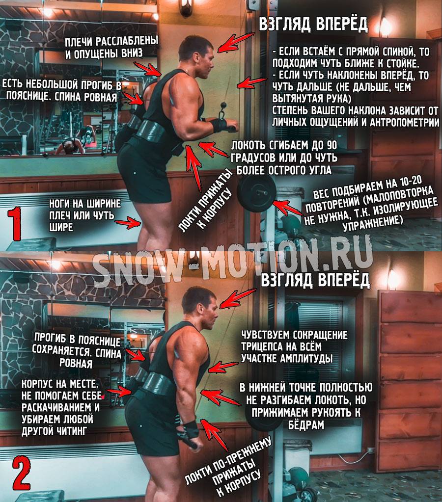 Разгибание рук с верхнего блока