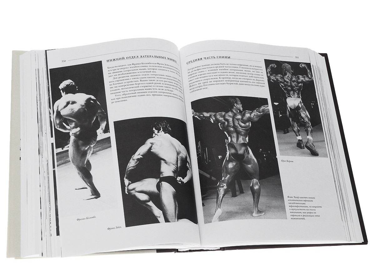 Программа тренировок Арнольда Шварценеггера — как тренировался знаменитый атлет?