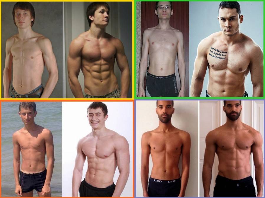 Программа тренировок для эктоморфа