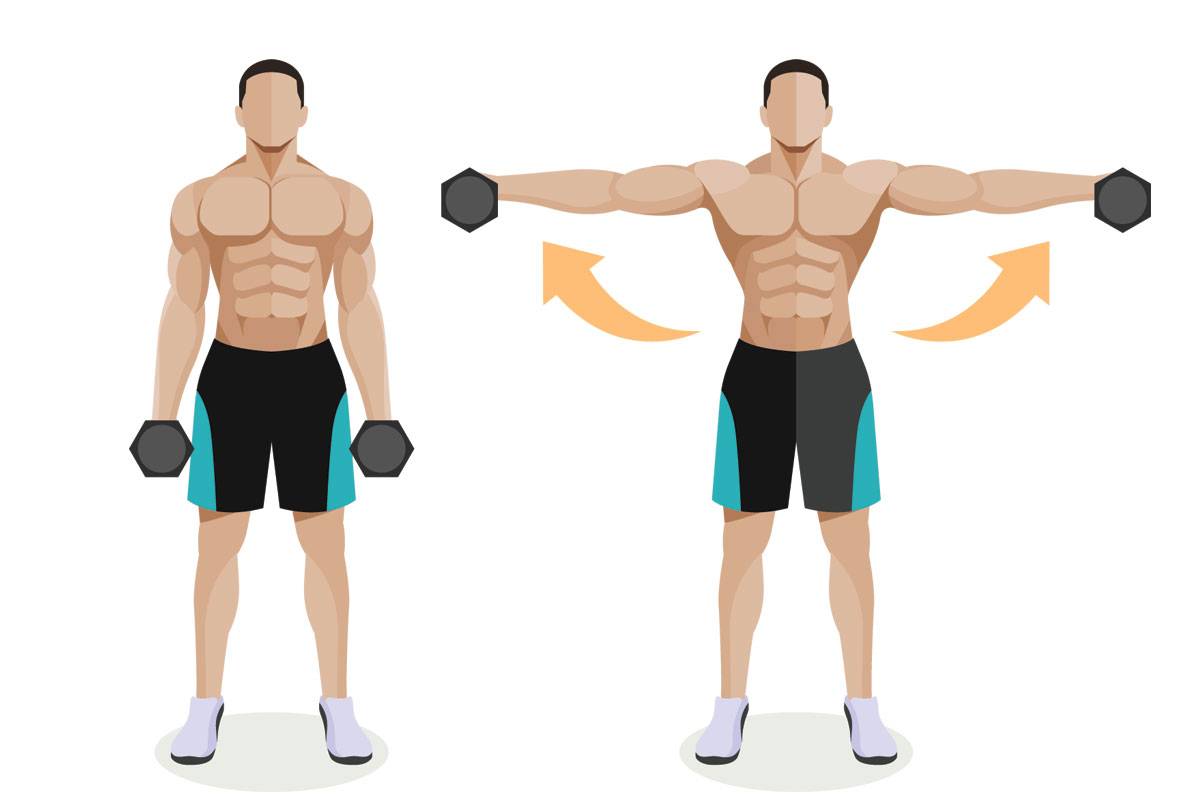 Тренировка рук и плеч