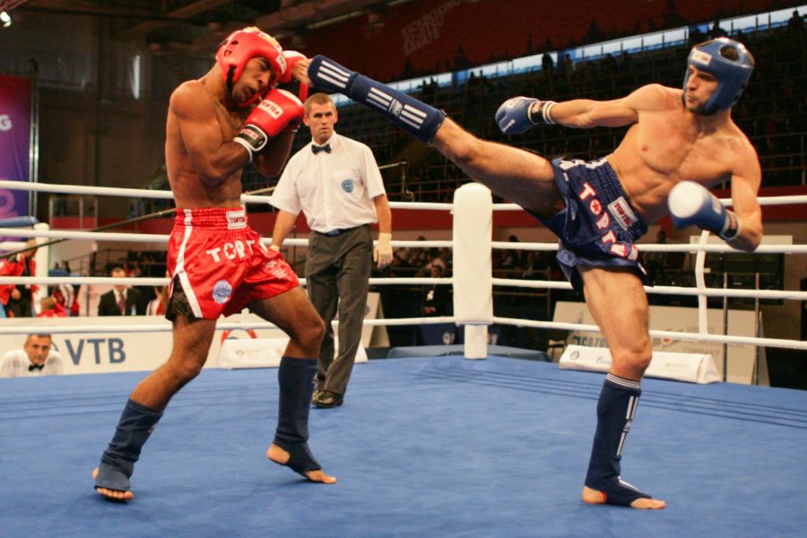 Боевые искусства: история, классификация, виды