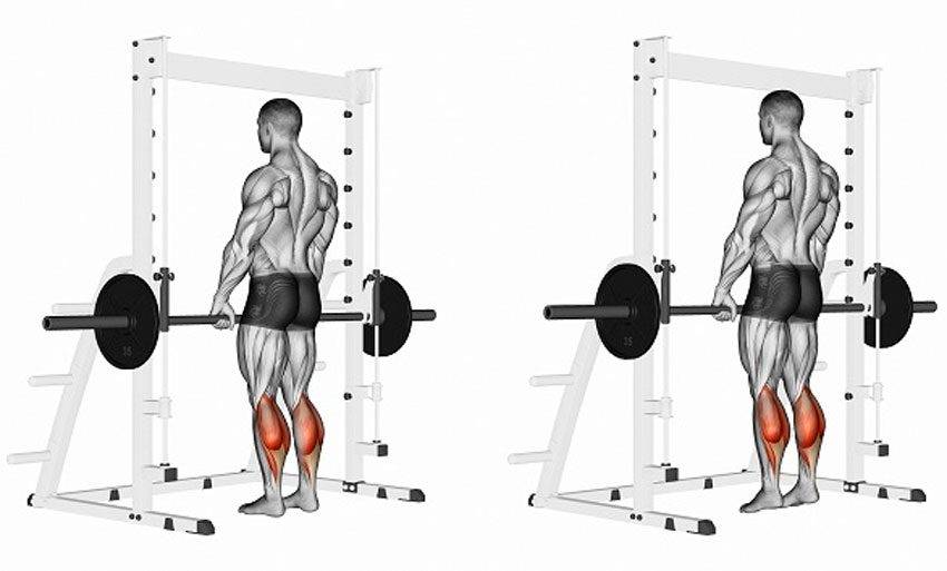 Подъемы на носки стоя и сидя