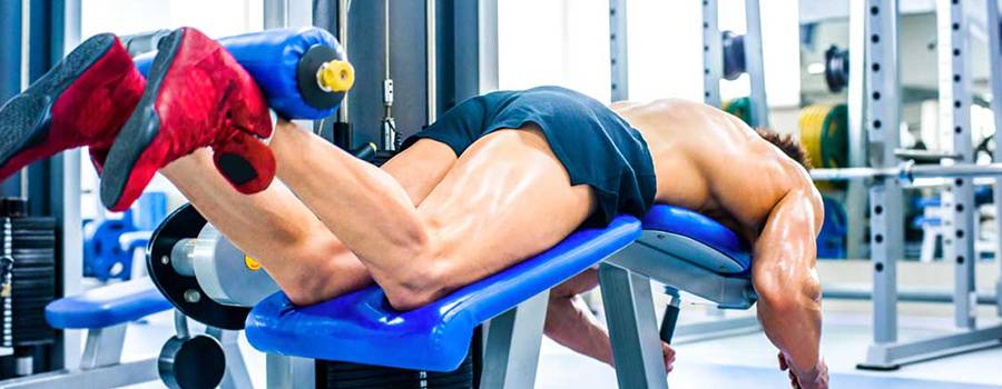 Упражнения на квадрицепс бедра