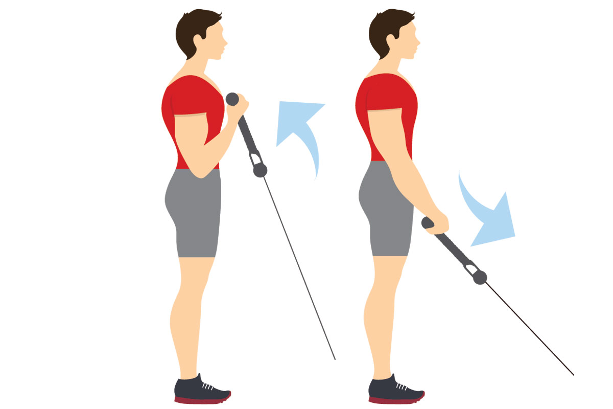 Программа тренировок в зале на массу