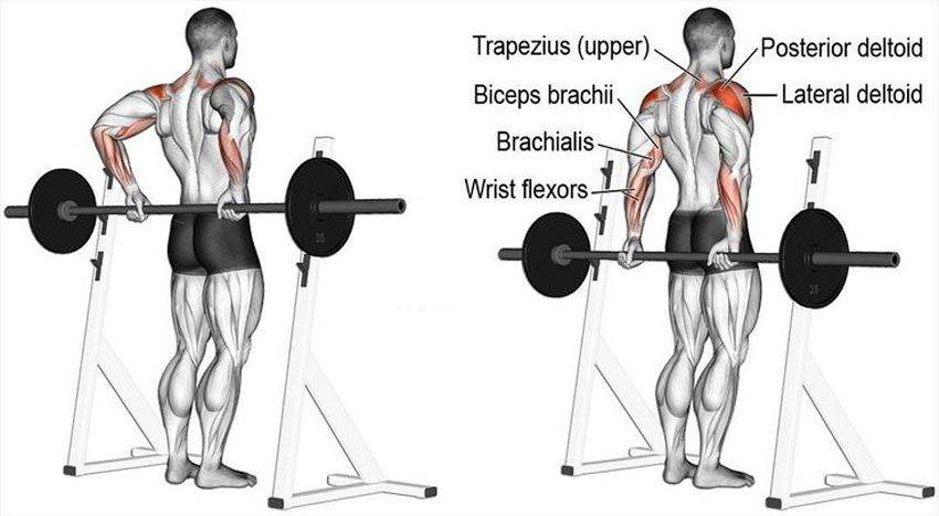 Тяга Ли Хейни