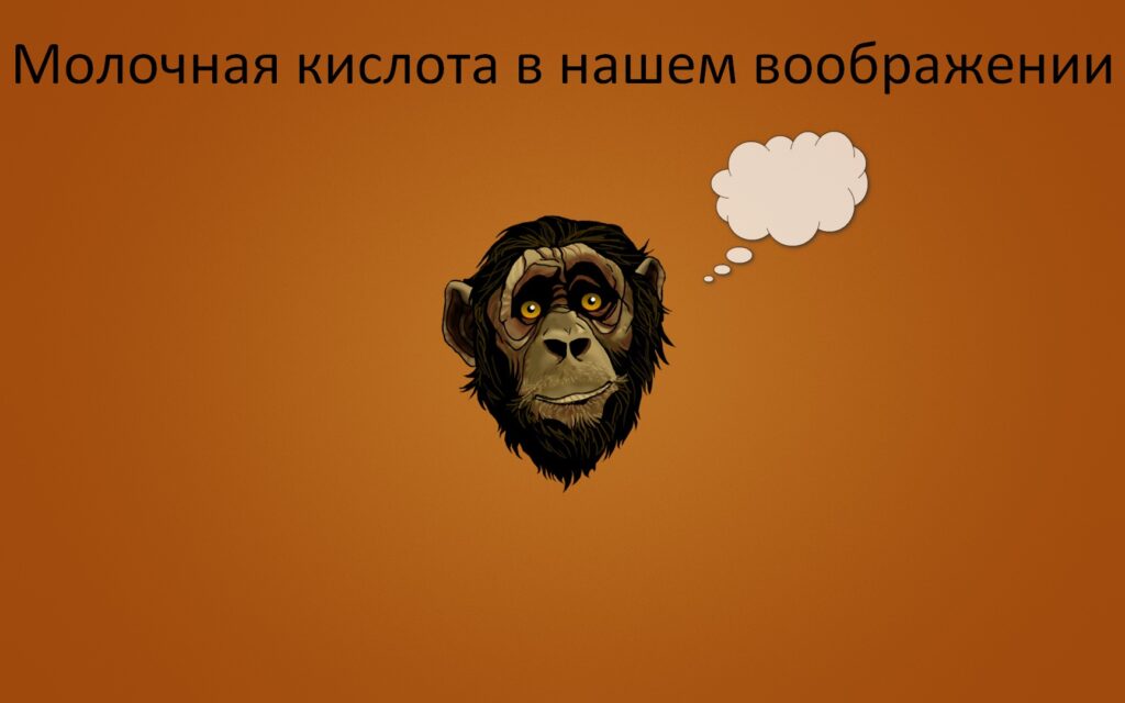 Молочная кислота в мышцах – что это, как вывести и стоит ли?