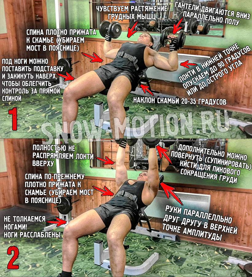 Жим гантелей на наклонной скамье