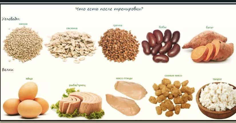 Какой из видов протеиновых добавок стоит использовать после занятий?