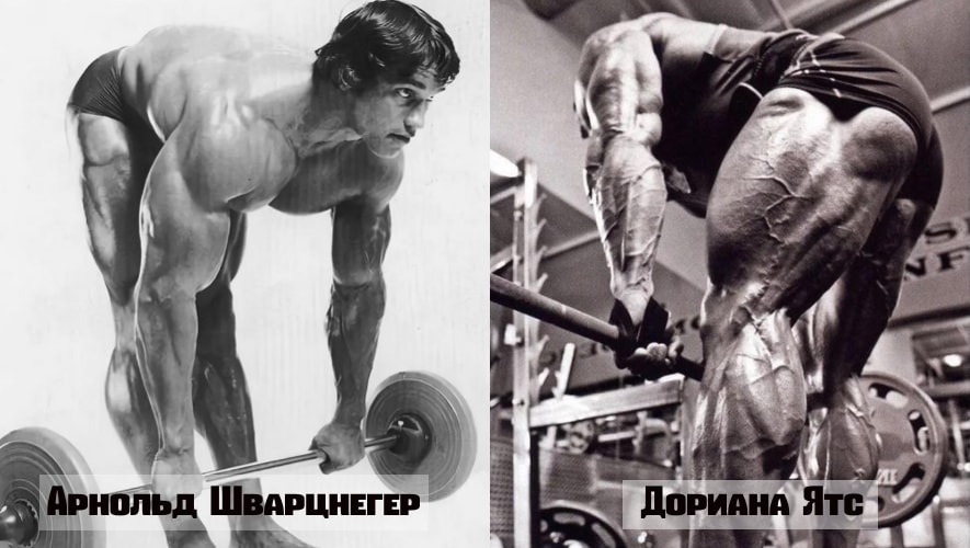 Становая тяга с гантелями