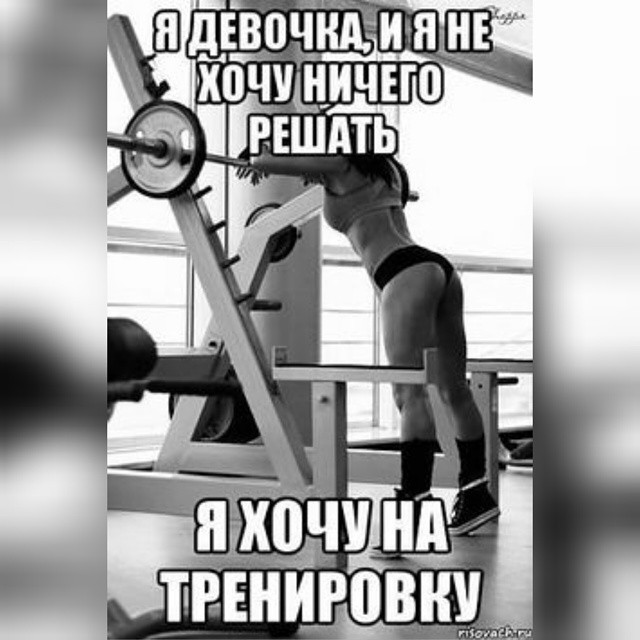 ���� Golden Dragon �� �������: ����.