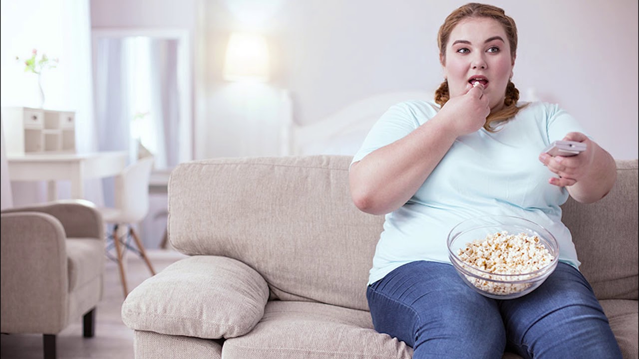 Лёгкий способ планирования питания на сервисе Menu Prosto