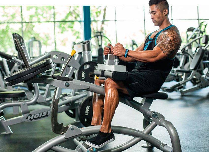 Подъемы на носки стоя и сидя