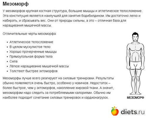 Питание для мезоморфа для набора массы и похудения: рацион и программа